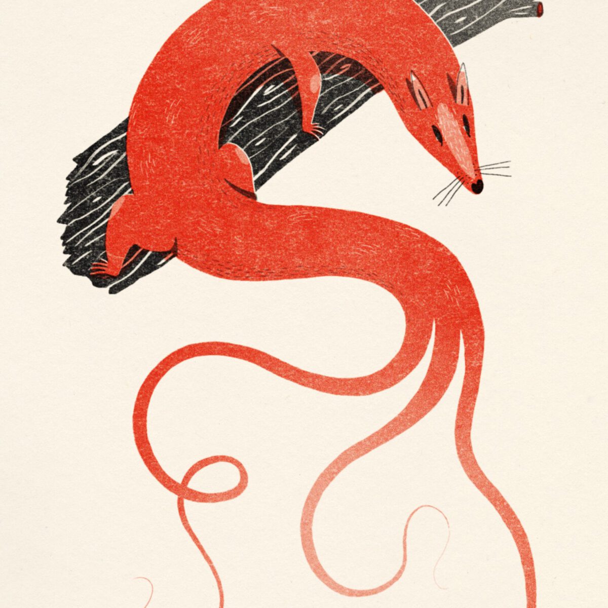 An illustration of a mink with 3 long tails