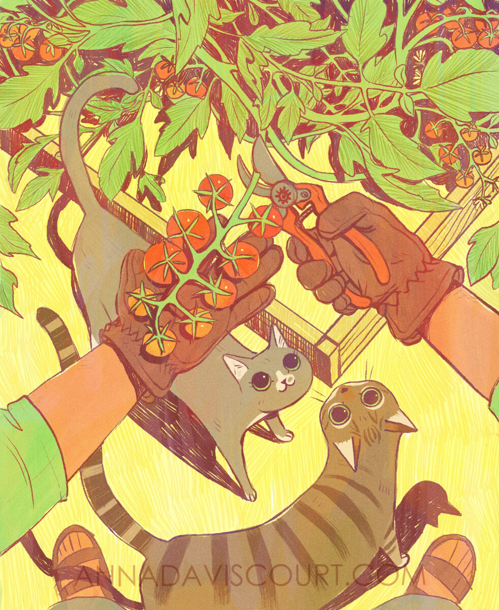 A digital illustration of a POV shot of a person harvesting cherry tomatoes while two cats look up at you from the ground. The stylized lighting and pale but bright colors make it feel like a hot summer day. Watermark: AnnaDaviscourt.com